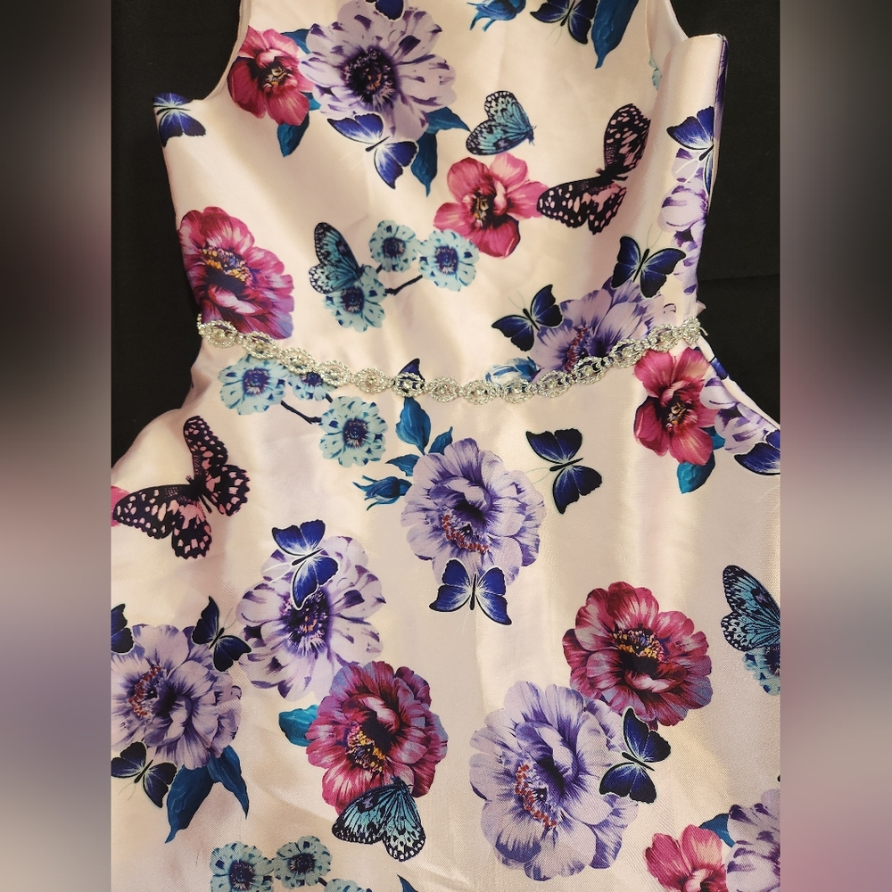 Emily Rose Floral and Butterfly Dress in Purple and Blue Size 16 Girls - Picture 3 of 7